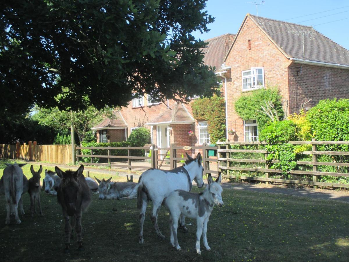 Вілла Hops Main House, Brockenhurst, New Forest Екстер'єр фото