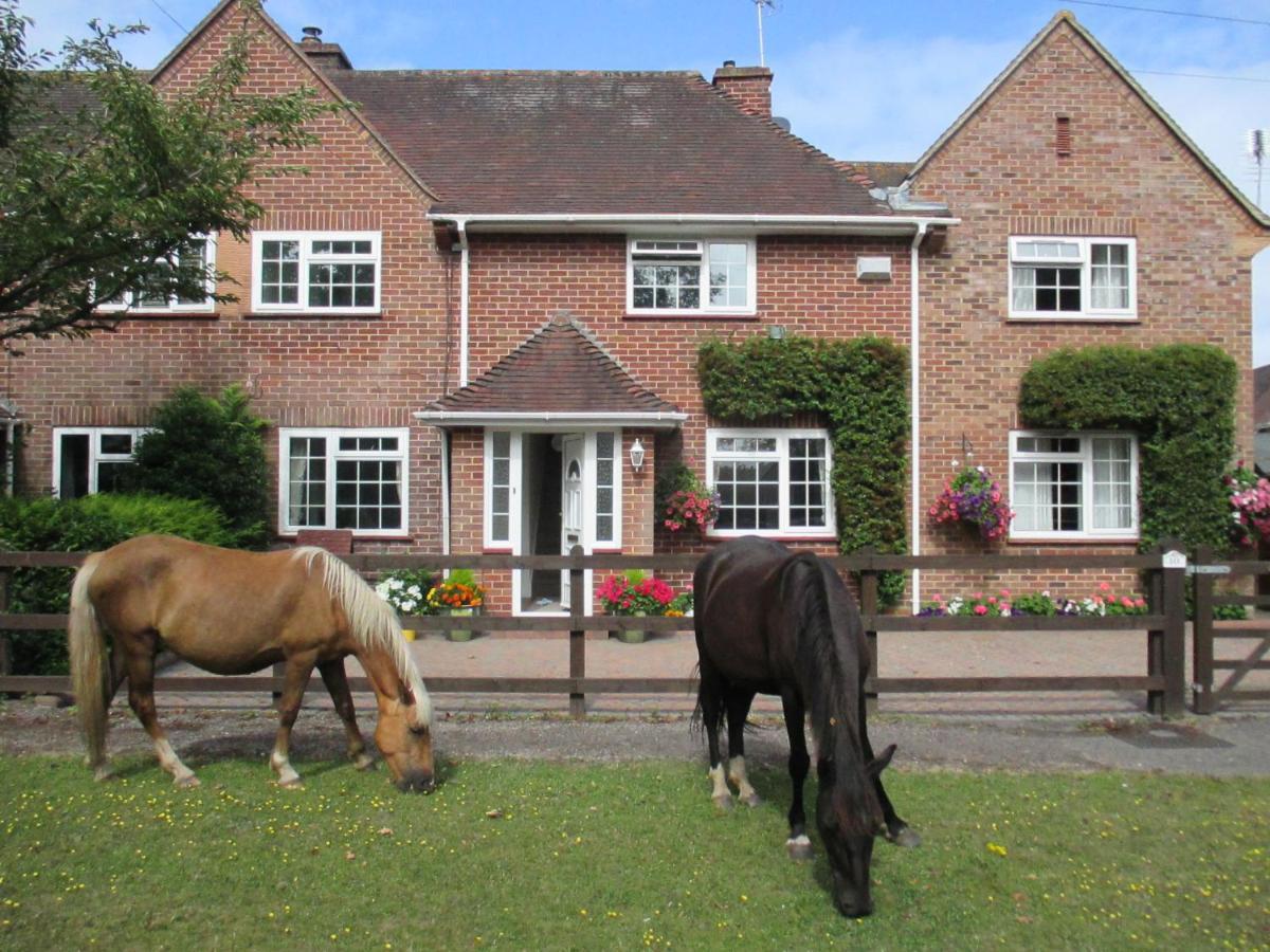 Вілла Hops Main House, Brockenhurst, New Forest Екстер'єр фото